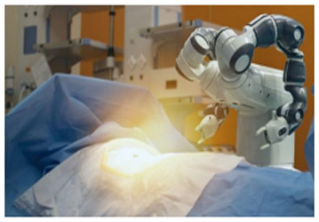 Robotic Joint Replacement